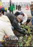 広報しんち　令和２年3月5日発行