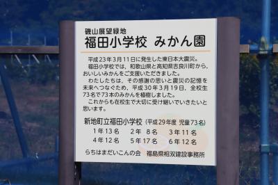ミカン畑の説明看板
