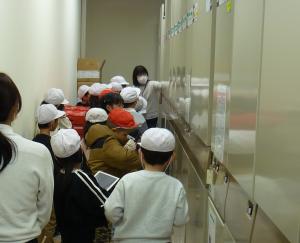 しょこけんがく