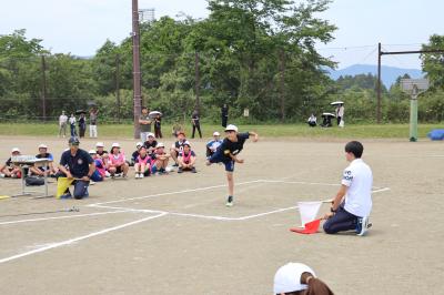 相新体育大会2