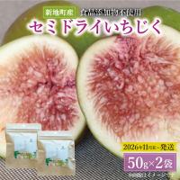 セミドライ