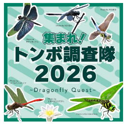 トンボ2026