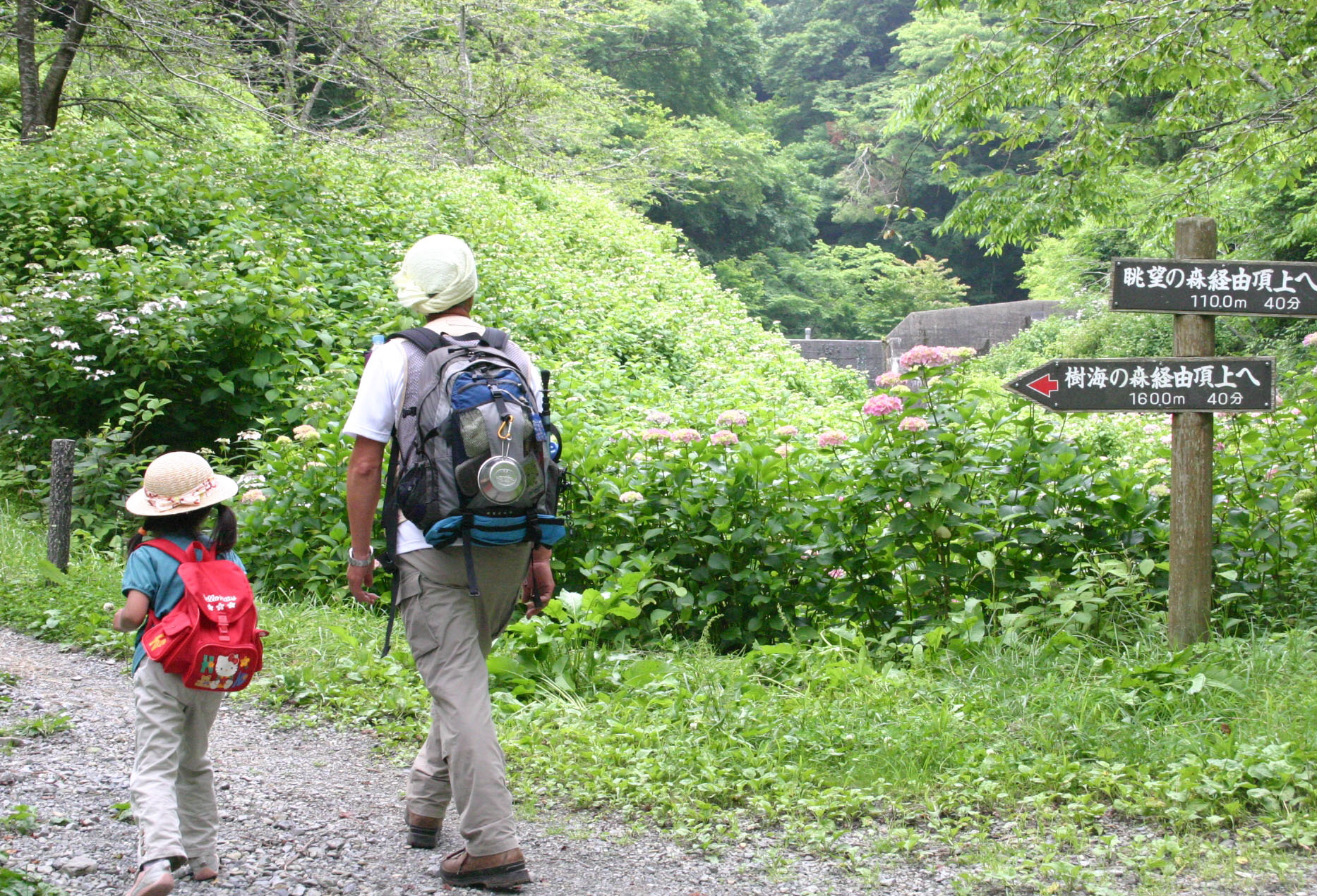 山道の写真